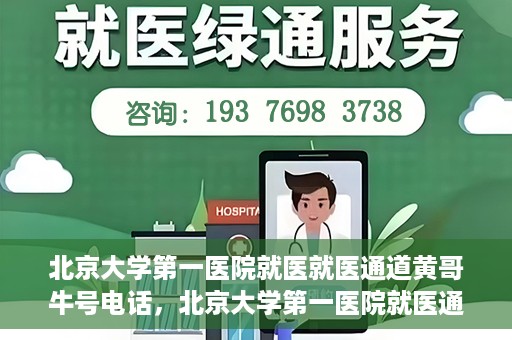 北京大学第一医院就医就医通道黄哥牛号电话，北京大学第一医院就医通道解析，黄哥牛号电话全解读