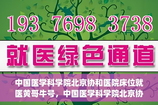 中国医学科学院北京协和医院床位就医黄哥牛号，中国医学科学院北京协和医院床位就医攻略，黄哥牛号助您轻松挂号就医
