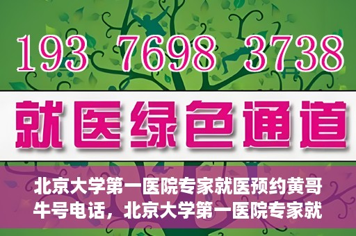 北京大学第一医院专家就医预约黄哥牛号电话，北京大学第一医院专家就医预约热线黄哥牛号电话全攻略