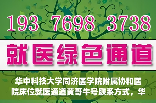 华中科技大学同济医学院附属协和医院床位就医通道黄哥牛号联系方式，华中科技大学同济医学院附属协和医院床位就医通道详解，黄哥牛号联系方式揭秘