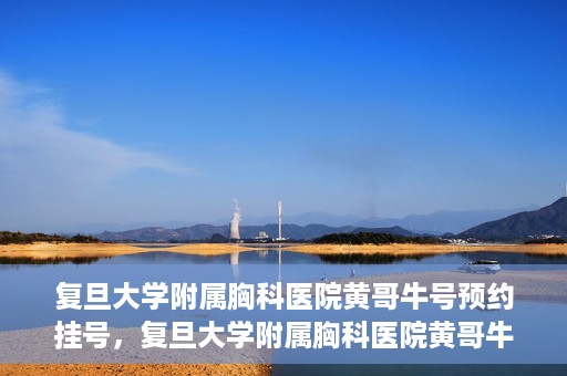 复旦大学附属胸科医院黄哥牛号预约挂号，复旦大学附属胸科医院黄哥牛号预约挂号指南，轻松掌握预约挂号秘籍！