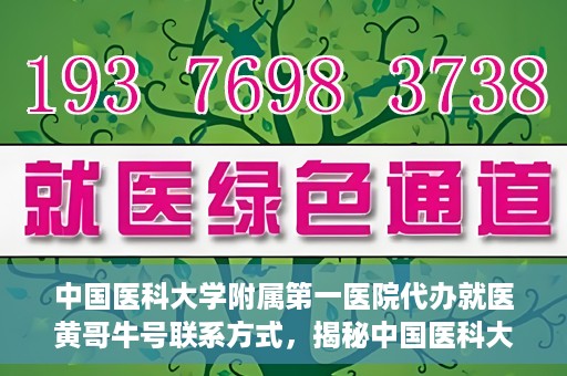 中国医科大学附属第一医院代办就医黄哥牛号联系方式，揭秘中国医科大学附属第一医院代办就医联系人黄哥牛号联系方式，专业服务的背后故事