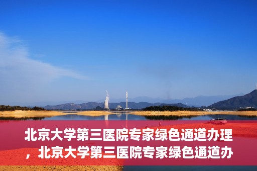 北京大学第三医院专家绿色通道办理，北京大学第三医院专家绿色通道办理详解，一站式服务助力高效就医体验