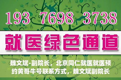 魏文斌-副院长，北京同仁就医就医预约黄哥牛号联系方式，魏文斌副院长与北京同仁医院预约就医秘籍，黄哥牛号联系方式揭秘