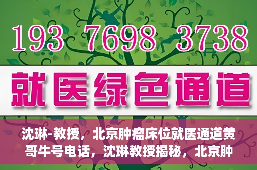 沈琳-教授，北京肿瘤床位就医通道黄哥牛号电话，沈琳教授揭秘，北京肿瘤床位就医通道与黄哥牛号电话的权威解读