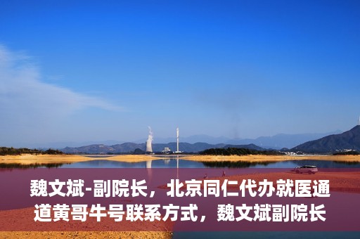 魏文斌-副院长，北京同仁代办就医通道黄哥牛号联系方式，魏文斌副院长与北京同仁就医通道，黄哥牛号联系方式揭秘