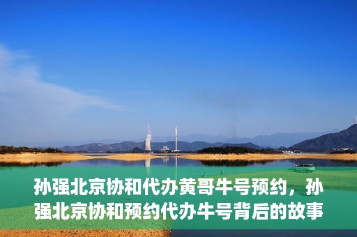 孙强北京协和代办黄哥牛号预约，孙强北京协和预约代办牛号背后的故事，黄哥助力就医无忧？