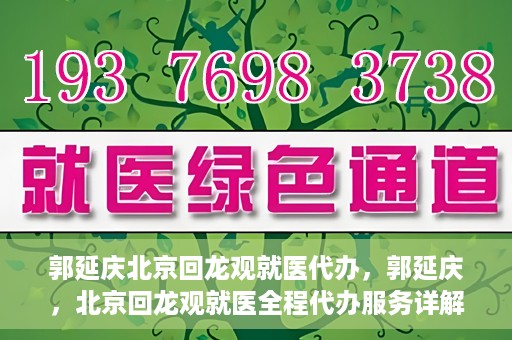 郭延庆北京回龙观就医代办，郭延庆，北京回龙观就医全程代办服务详解