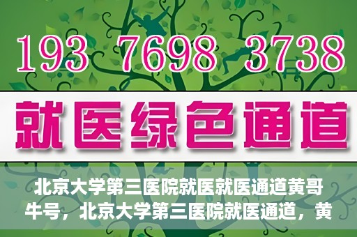 北京大学第三医院就医就医通道黄哥牛号，北京大学第三医院就医通道，黄哥牛号助您便捷就医体验