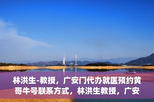 林洪生-教授，广安门代办就医预约黄哥牛号联系方式，林洪生教授，广安门就医预约背后的故事，黄哥牛号联系方式揭秘