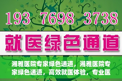 湘雅医院专家绿色通道，湘雅医院专家绿色通道，高效就医体验，专业医疗服务的快速通道