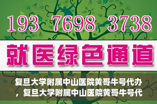 复旦大学附属中山医院黄哥牛号代办，复旦大学附属中山医院黄哥牛号代办，权威医疗资源的深度解读与便捷服务体验