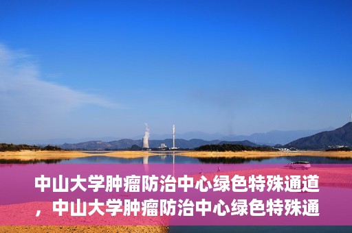 中山大学肿瘤防治中心绿色特殊通道，中山大学肿瘤防治中心绿色特殊通道，守护生命，快速通行之道