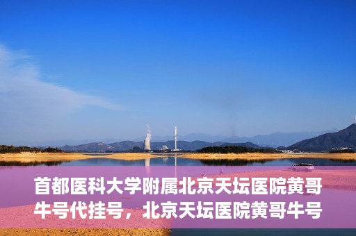 首都医科大学附属北京天坛医院黄哥牛号代挂号，北京天坛医院黄哥牛号代挂号攻略揭秘
