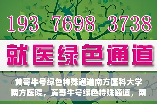 黄哥牛号绿色特殊通道南方医科大学南方医院，黄哥牛号绿色特殊通道，南方医科大学南方医院的探索与实践