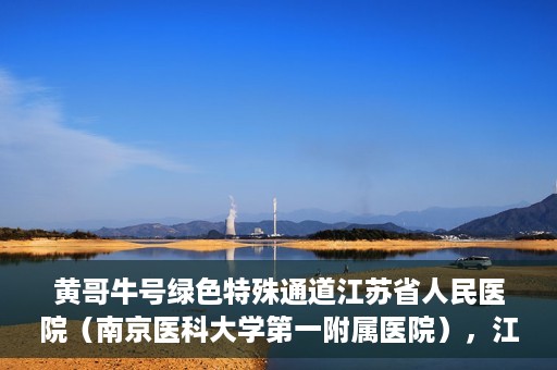 黄哥牛号绿色特殊通道江苏省人民医院（南京医科大学第一附属医院），江苏省人民医院绿色特殊通道，黄哥牛号引领健康新风尚