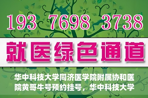华中科技大学同济医学院附属协和医院黄哥牛号预约挂号，华中科技大学同济医学院附属协和医院黄哥牛号预约挂号攻略解析