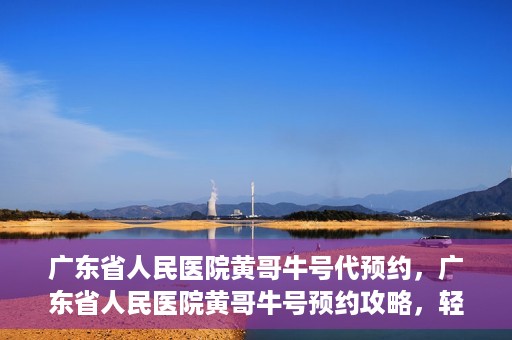 广东省人民医院黄哥牛号代预约，广东省人民医院黄哥牛号预约攻略，轻松掌握预约流程