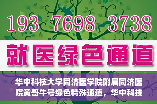 华中科技大学同济医学院附属同济医院黄哥牛号绿色特殊通道，华中科技大学同济医院黄哥牛号绿色特殊通道揭秘
