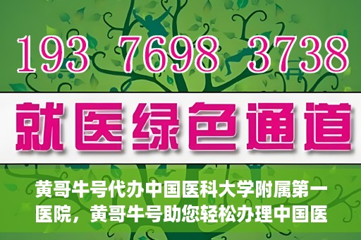 黄哥牛号代办中国医科大学附属第一医院，黄哥牛号助您轻松办理中国医科大学附属第一医院事务。