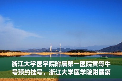 浙江大学医学院附属第一医院黄哥牛号预约挂号，浙江大学医学院附属第一医院黄哥牛号预约挂号攻略详解
