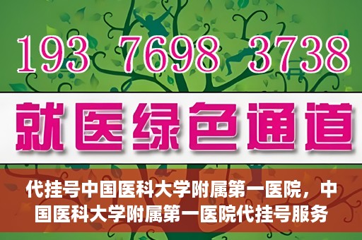 代挂号中国医科大学附属第一医院，中国医科大学附属第一医院代挂号服务详解