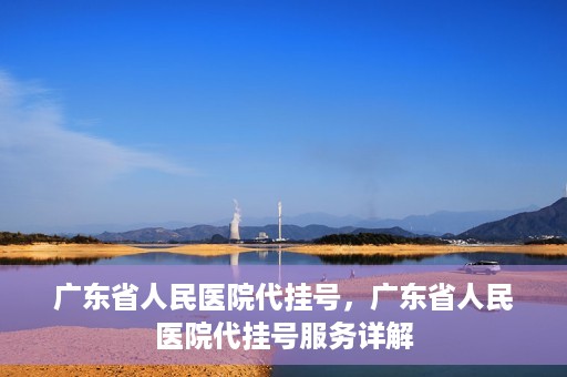 广东省人民医院代挂号，广东省人民医院代挂号服务详解