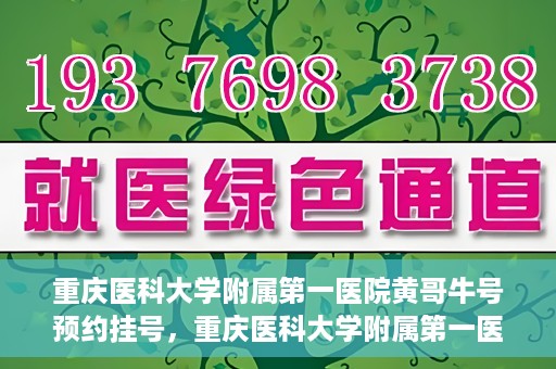重庆医科大学附属第一医院黄哥牛号预约挂号，重庆医科大学附属第一医院黄哥牛号预约挂号攻略