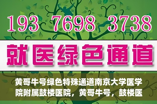 黄哥牛号绿色特殊通道南京大学医学院附属鼓楼医院，黄哥牛号，鼓楼医院开启绿色特殊通道助力健康之路