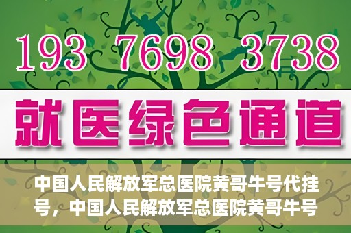 中国人民解放军总医院黄哥牛号代挂号，中国人民解放军总医院黄哥牛号代挂号解析，揭秘挂号背后的故事