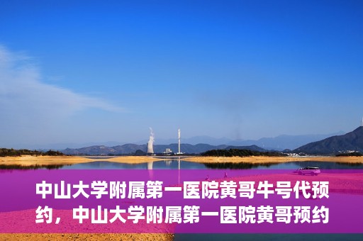 中山大学附属第一医院黄哥牛号代预约，中山大学附属第一医院黄哥预约挂号攻略，轻松预约牛号代预约服务