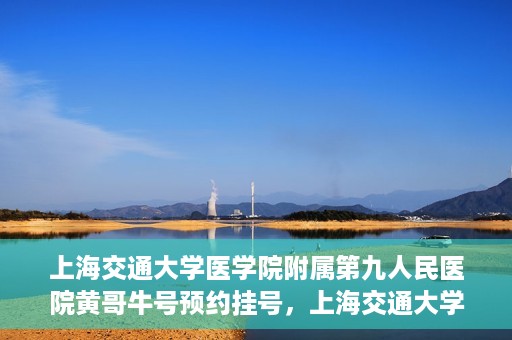 上海交通大学医学院附属第九人民医院黄哥牛号预约挂号，上海交通大学医学院附属第九人民医院黄哥牛号预约挂号攻略解析