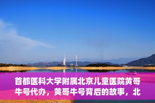 首都医科大学附属北京儿童医院黄哥牛号代办，黄哥牛号背后的故事，北京儿童医院名医背后的故事与探索。