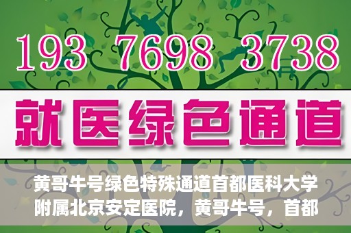 黄哥牛号绿色特殊通道首都医科大学附属北京安定医院，黄哥牛号，首都医科大学附属北京安定医院的绿色特殊通道揭秘