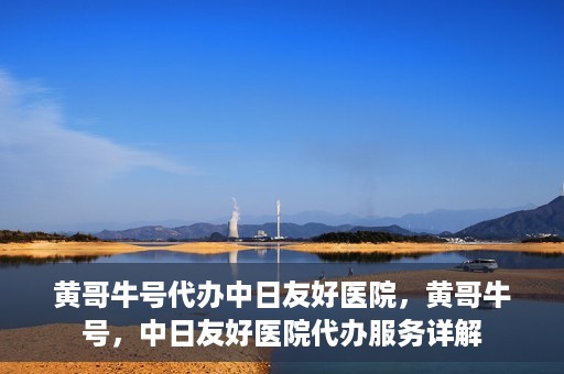 黄哥牛号代办中日友好医院，黄哥牛号，中日友好医院代办服务详解