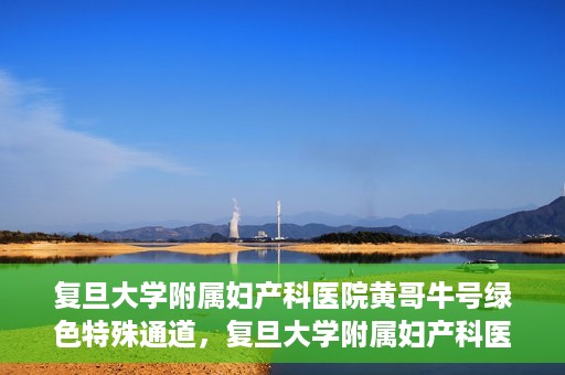 复旦大学附属妇产科医院黄哥牛号绿色特殊通道，复旦大学附属妇产科医院黄哥牛号，绿色特殊通道开启健康之门