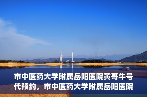 市中医药大学附属岳阳医院黄哥牛号代预约，市中医药大学附属岳阳医院黄哥牛号预约服务启动