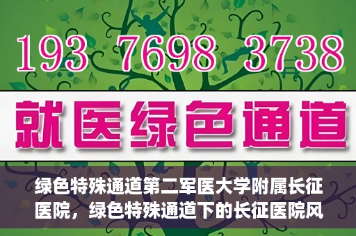 绿色特殊通道第二军医大学附属长征医院，绿色特殊通道下的长征医院风采——第二军医大学附属长征医院探索与实践