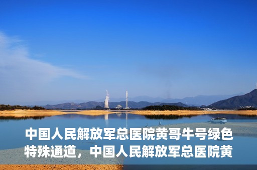 中国人民解放军总医院黄哥牛号绿色特殊通道，中国人民解放军总医院黄哥牛号，绿色特殊通道开启健康之门