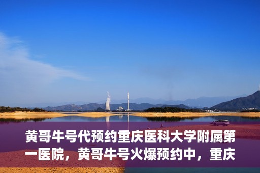 黄哥牛号代预约重庆医科大学附属第一医院，黄哥牛号火爆预约中，重庆医科大学附属第一医院开启预约新纪元