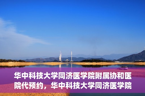 华中科技大学同济医学院附属协和医院代预约，华中科技大学同济医学院附属协和医院便捷代预约服务解析