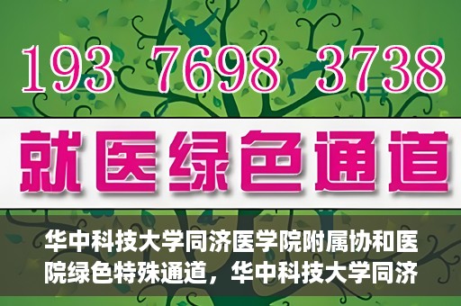 华中科技大学同济医学院附属协和医院绿色特殊通道，华中科技大学同济医学院附属协和医院，绿色特殊通道的探索与实践