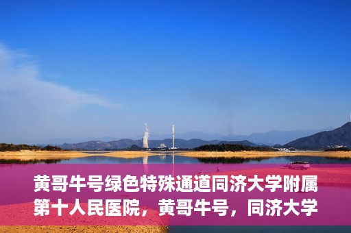 黄哥牛号绿色特殊通道同济大学附属第十人民医院，黄哥牛号，同济大学附属第十人民医院开启绿色特殊通道，助力健康前行