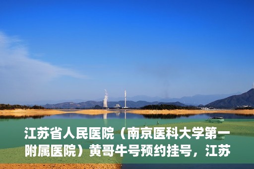 江苏省人民医院（南京医科大学第一附属医院）黄哥牛号预约挂号，江苏省人民医院（南京医科大学第一附属医院）黄哥牛号预约挂号攻略