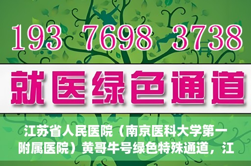 江苏省人民医院（南京医科大学第一附属医院）黄哥牛号绿色特殊通道，江苏省人民医院绿色特殊通道，黄哥牛号的医疗速度与温情服务