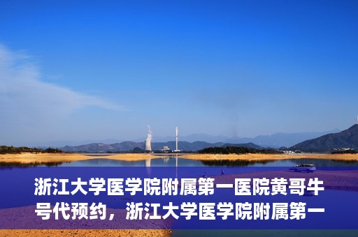 浙江大学医学院附属第一医院黄哥牛号代预约，浙江大学医学院附属第一医院黄哥牛号预约攻略揭秘