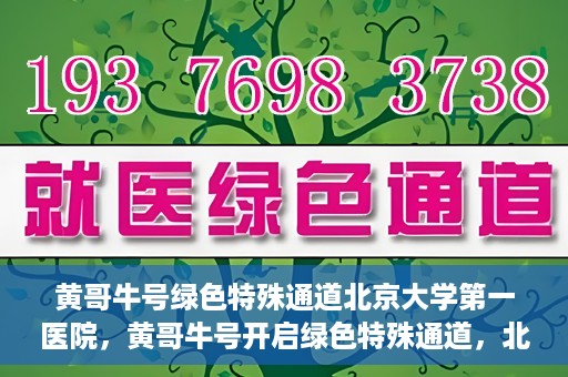 黄哥牛号绿色特殊通道北京大学第一医院，黄哥牛号开启绿色特殊通道，北京大学第一医院全力护航健康之路