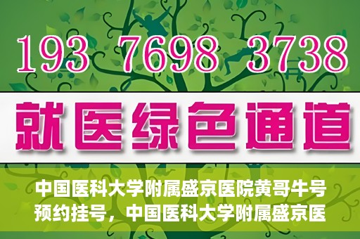 中国医科大学附属盛京医院黄哥牛号预约挂号，中国医科大学附属盛京医院黄哥牛号，预约挂号指南