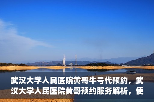 武汉大学人民医院黄哥牛号代预约，武汉大学人民医院黄哥预约服务解析，便捷医疗，牛号代预约新体验