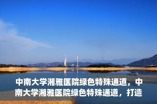 中南大学湘雅医院绿色特殊通道，中南大学湘雅医院绿色特殊通道，打造医疗服务的绿色通道新篇章
